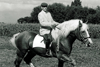 Roger Talpe bracht het eerste Vlaams Paard terug in België